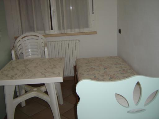 binzoni ceccarelli 2